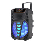 PZX GZ-W1012 Bluetooth Φορητό ηχείο Karaoke - Wireless Portable Speaker 12''